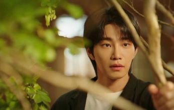 Адвокат айдола